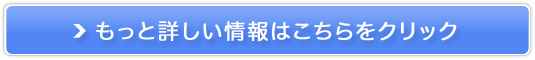 wAPAƓd̔TCg